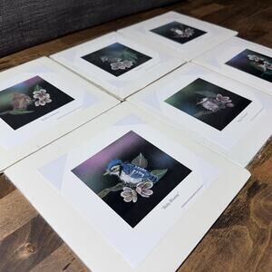 Lot Of 6 Baby Bird Prints- 6”x6” Nature 90s Cute